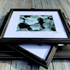 “Pure Phlox” - limited edition print, in a reclaimed frame. Signed and numbered.